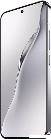 Телефон Xiaomi 15 12GB/256GB международная версия (серебристый)