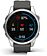 Умные часы Garmin Fenix 7S 42 мм (серебристый/графитовый)