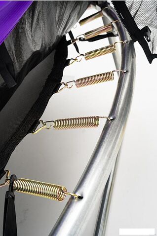 Батут Calviano Outside Master Purple 312 см - 10ft (внешняя сетка, с лестницей)