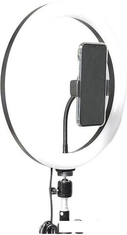 Кольцевая лампа FUJIMI FJL-RING12