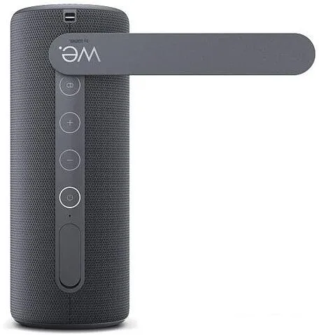 Беспроводная колонка Loewe We. HEAR 1 (черный)