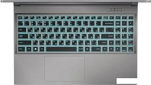 Игровой ноутбук Maibenben X577 X577FSFNLGRE1