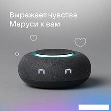 Умная колонка VK Капсула Мини (темно-серый) Умная колонка VK Капсула Мини (темно-серый)