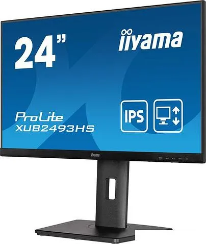 Монитор Iiyama ProLite XUB2493HS-B5