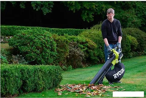 Воздуходувка Ryobi RBV36B [5133002524]