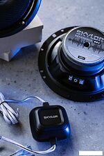 Компонентная АС Skylor R6C