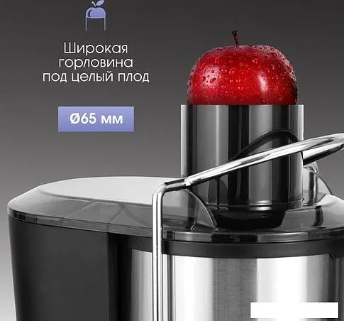 Соковыжималка Zigmund & Shtain EJ-757