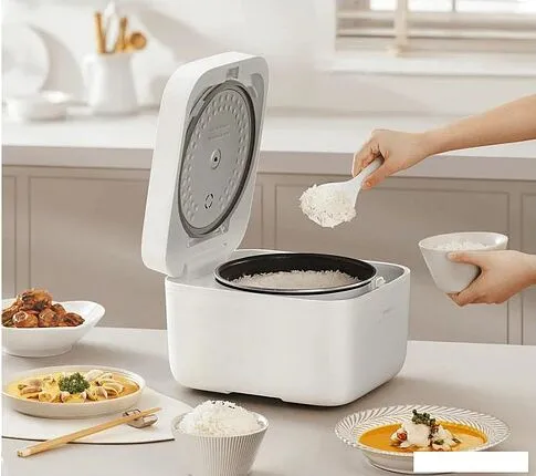 Мультиварка Xiaomi Multifunctional Rice Cooker 4L MFB090-1 (евровилка)