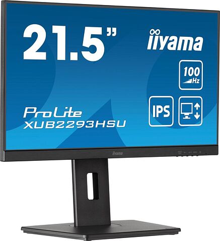 Монитор Iiyama ProLite XUB2293HSU-B7