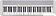 Цифровое пианино Casio CT-S1 (белый)