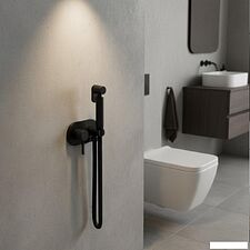 Гигиенический душ Lauter Mist 21TZ222MB