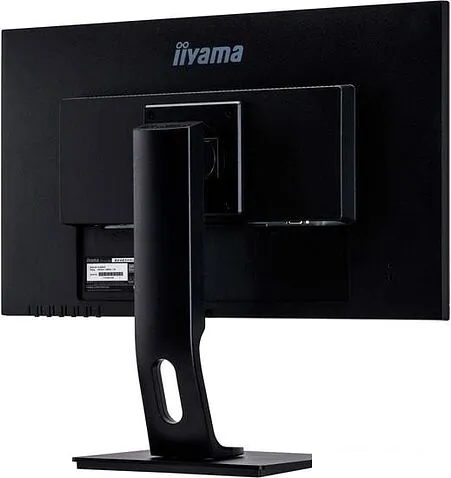 Монитор Iiyama ProLite B2483HSU-B5