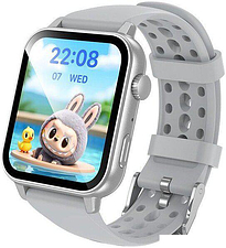 Умные часы Borofone BD15 Call Version (серебристый)