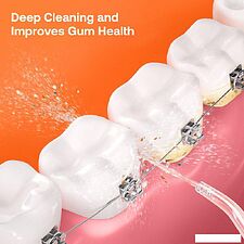 Ирригатор  Bitvae C2 (черный)