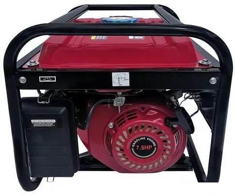 Бензиновый генератор WATT WT-3001