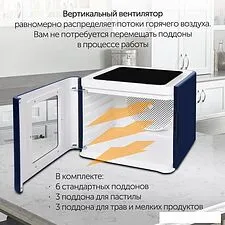 Сушилка для овощей и фруктов StarWind SFD9534