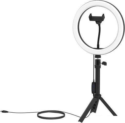 Кольцевая лампа Ritmix RRL-262