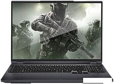 Игровой ноутбук Maibenben X-Treme Typhoon X16C X16C-i544550F44LG4E10
