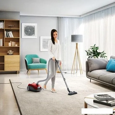 Пылесос Electrolux EEG43WR