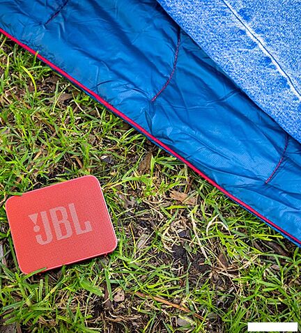 Беспроводная колонка JBL Go Essential 2 (красный)