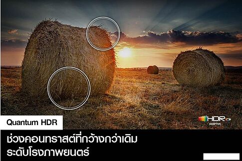 Телевизор Samsung QLED 4K Q65C QA43Q65CAKXXT