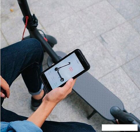 Электросамокат Xiaomi Mi Electric Scooter Essential Lite (международная версия,черный)