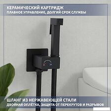 Гигиенический душ Lauter Rainix 21LT7712BM