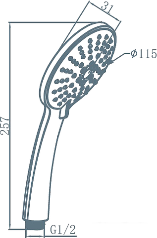 Душевая лейка AM.PM Spirit F0270064