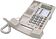 Проводной телефон Ritmix RT-495 (белый)