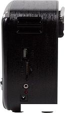 Радиоприемник Ritmix RPR-065