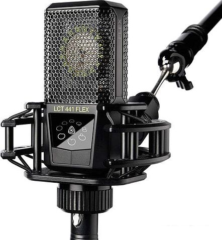 Микрофон Lewitt LCT 441 Flex