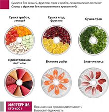 Сушилка для овощей и фруктов Мастерица EFD-6001 Сушилка для овощей и фруктов Мастерица EFD-6001