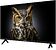 Телевизор Topdevice 32" SALUTE TV TDWC32BH4260V
