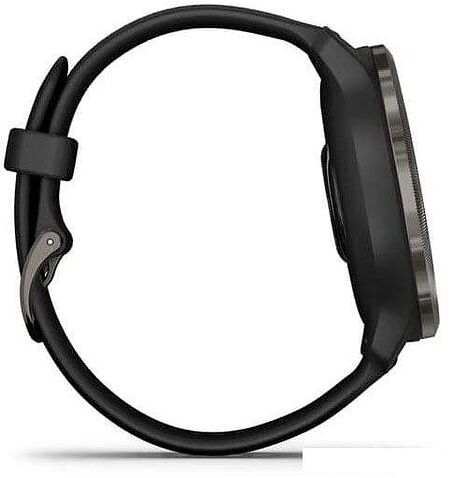 Умные часы Garmin Venu 2 (сланцевая нержавеющая сталь/черный)
