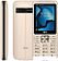 Кнопочный телефон BQ-Mobile BQ-2455 Boom Quattro (золотистый)
