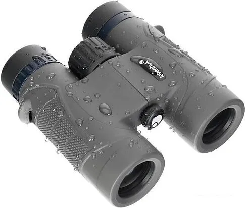 Бинокль Levenhuk Nitro 10x32 (черный)