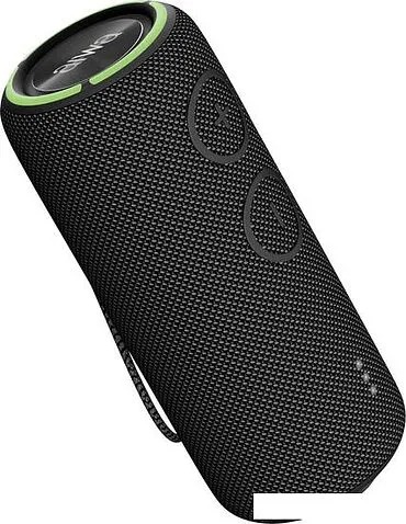 Беспроводная колонка Aiwa PAS-H300 (черный)