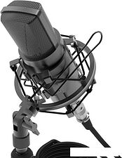 Микрофон Ritmix RDM-175