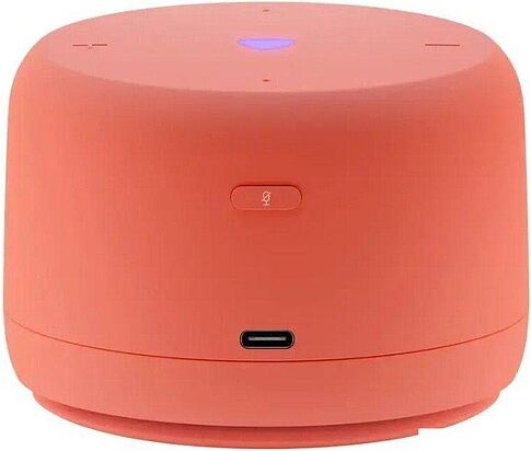 Умная колонка Яндекс Станция Лайт 2 без часов (коралловый)