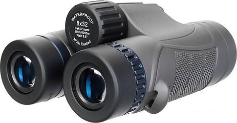 Бинокль Levenhuk Nitro 8x32 (черный)