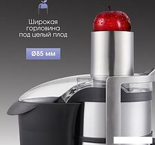 Соковыжималка Zigmund & Shtain EJ-755