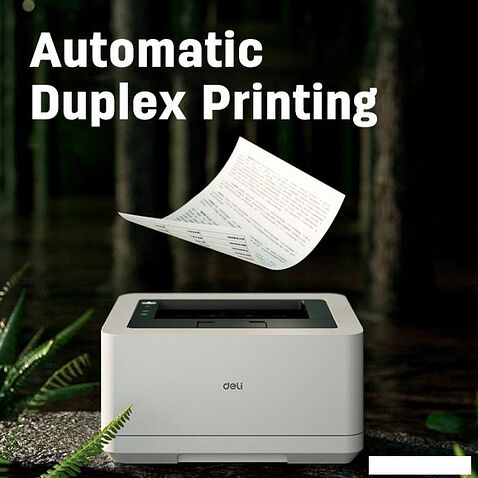 Принтер Deli P2000DNWs