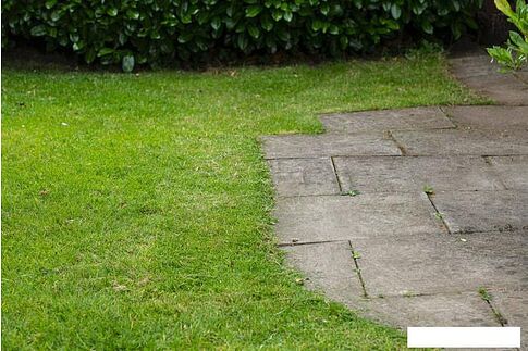 Триммер Ryobi Подрезчик кромок RY18EGA-0 (без АКБ)