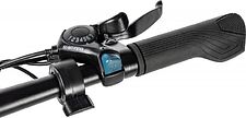 Электровелосипед MyWay Fold 250 20 (15, графитовый)