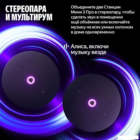 Умная колонка Яндекс Станция Мини 3 Про (черный)