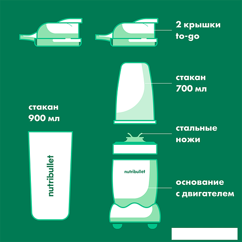 Погружной блендер NutriBullet NB100DG Pro