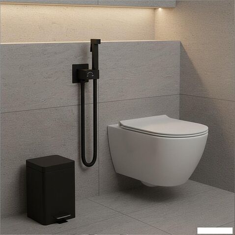 Гигиенический душ Lauter Rainix 21LT7712BM