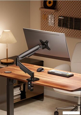 Кронштейн для монитора ErgoSmart Power Black Light