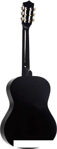 Акустическая гитара Terris TC-3801A BK