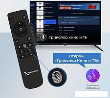 Телевизор Триколор P24HH302